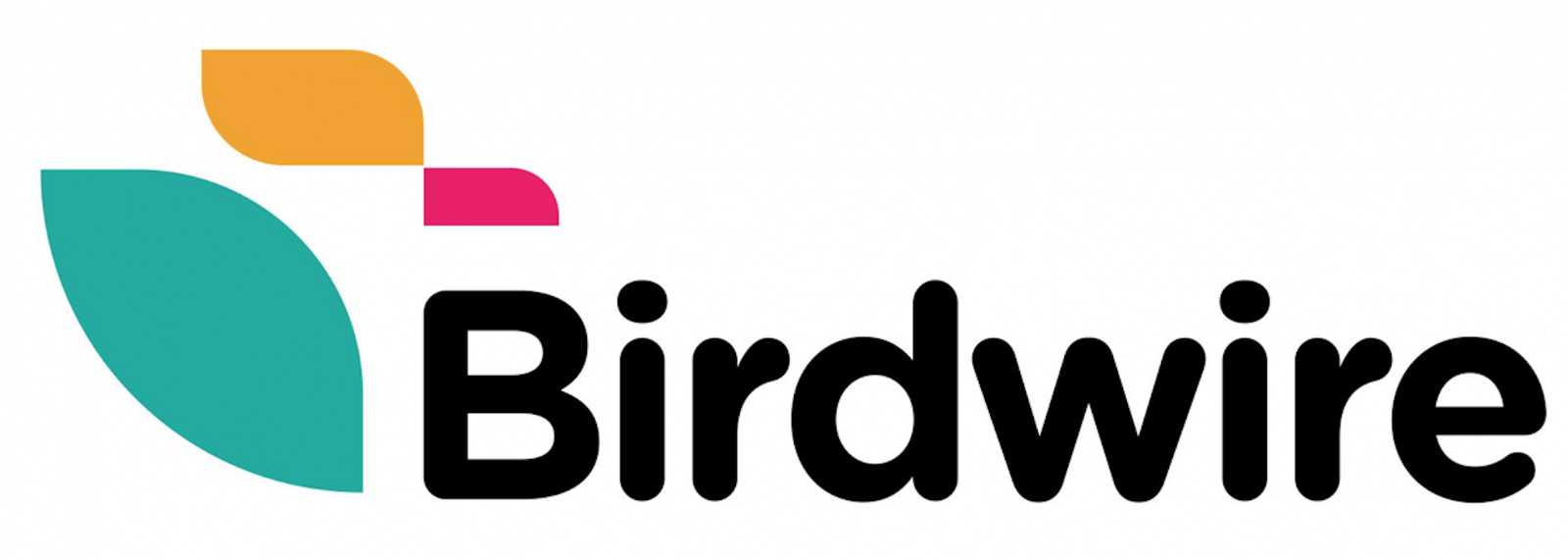 Birdwire Logo